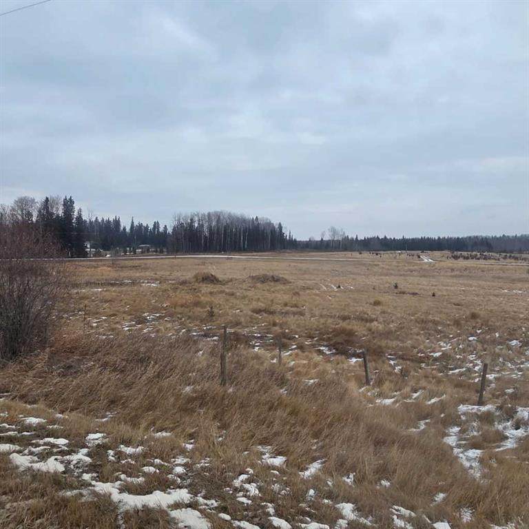 Lot 4 Range Road 175 - Photo 1
