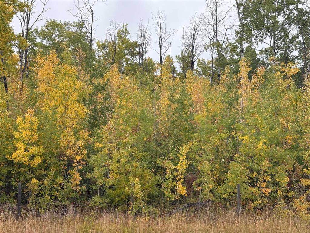  12 Foot Davis Road - Photo 1