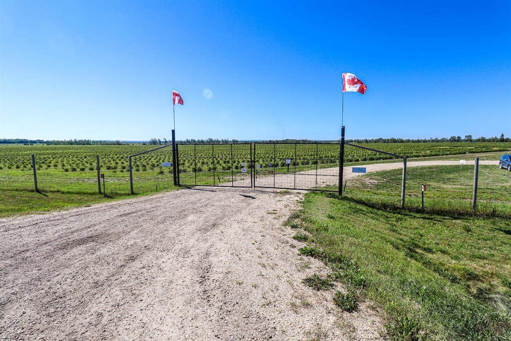 https://bt-photos.global.ssl.fastly.net/calgary/orig_boomver_1_A2277492-2.jpg