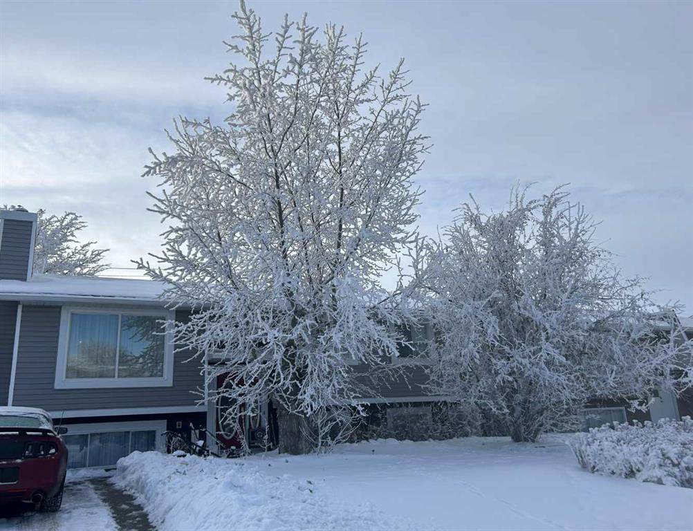 4529 Shannon Drive - Photo 1