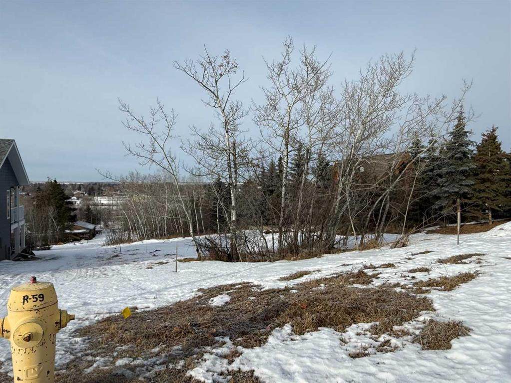 https://bt-photos.global.ssl.fastly.net/calgary/orig_boomver_1_A2280223-2.jpg
