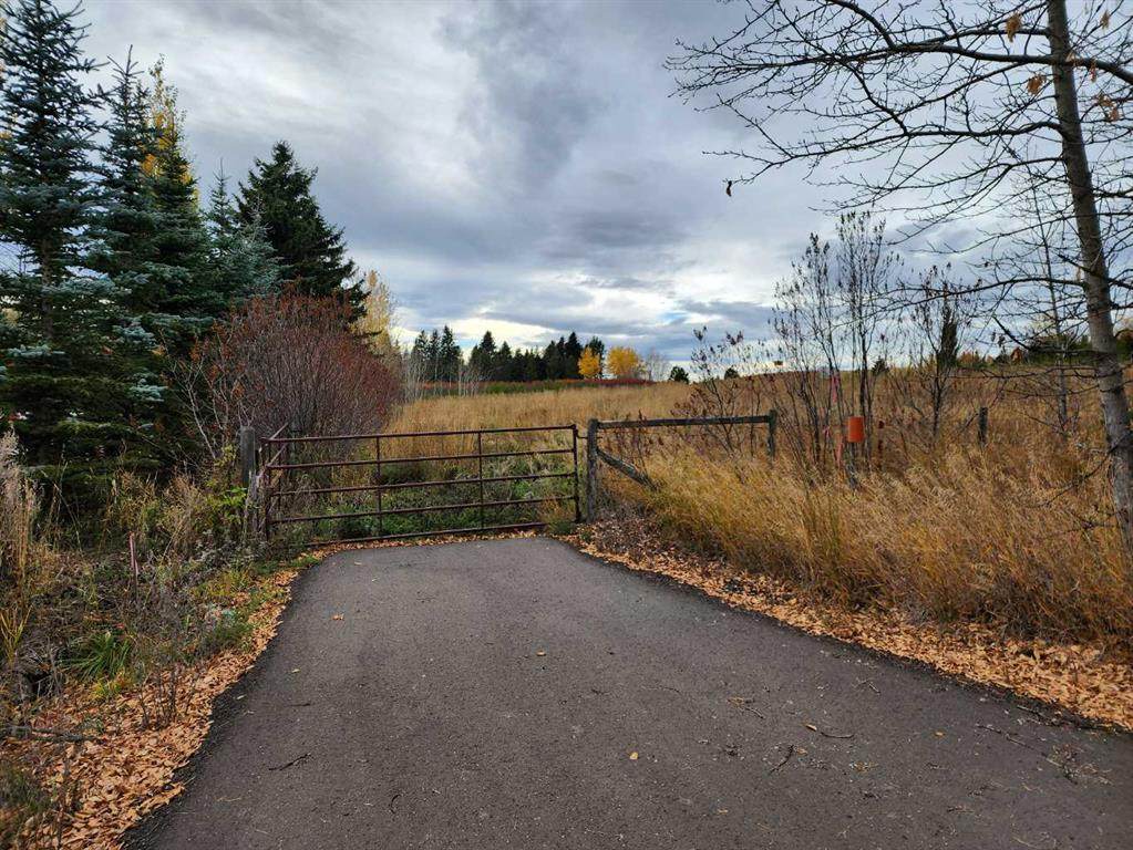 Lot 23, 26553 11 Highway - Photo 1