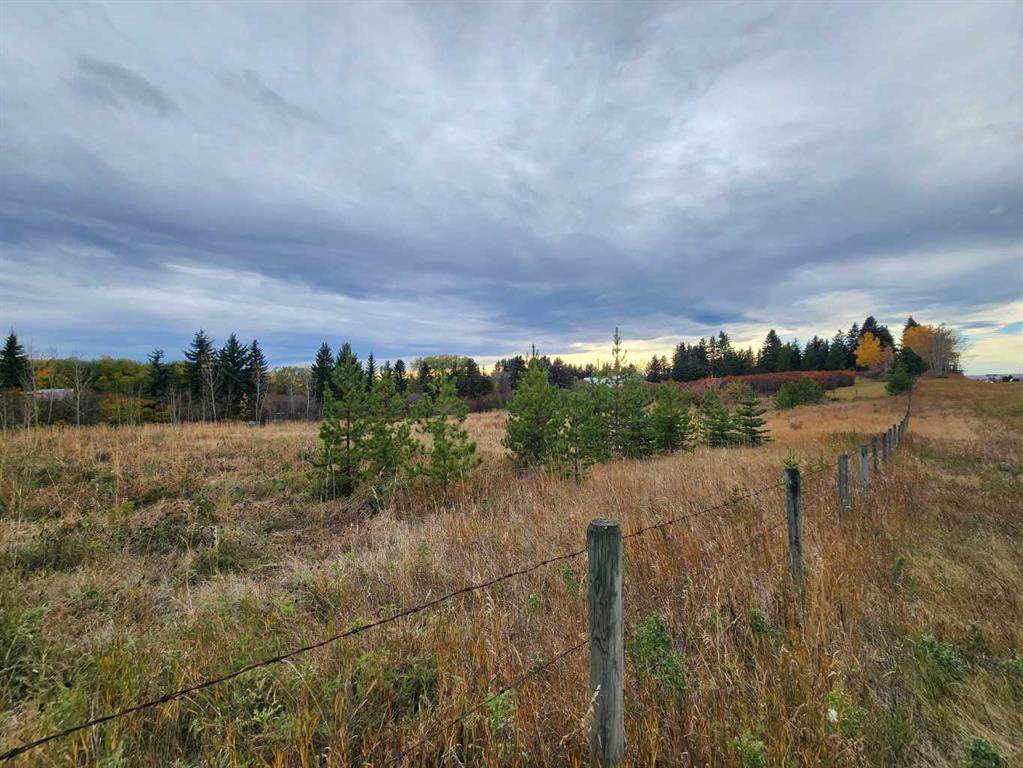 https://bt-photos.global.ssl.fastly.net/calgary/orig_boomver_1_A2280376-2.jpg