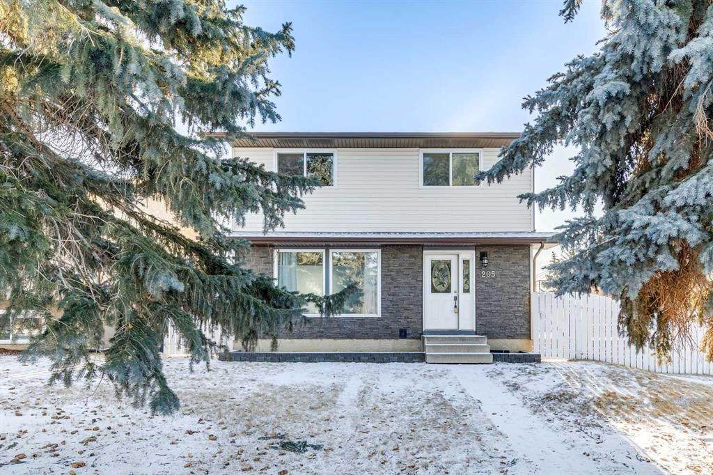 205 Acacia Drive - Photo 1