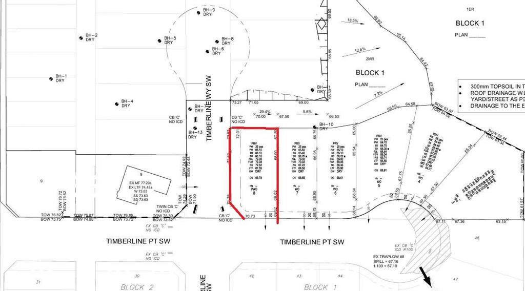 50 Timberline Point - Photo 1