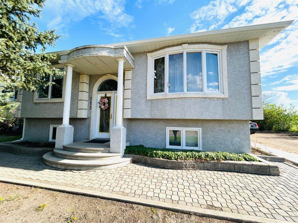 213 5 Avenue - Photo 1