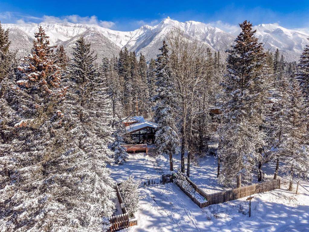 126 Elk Street - Photo 1