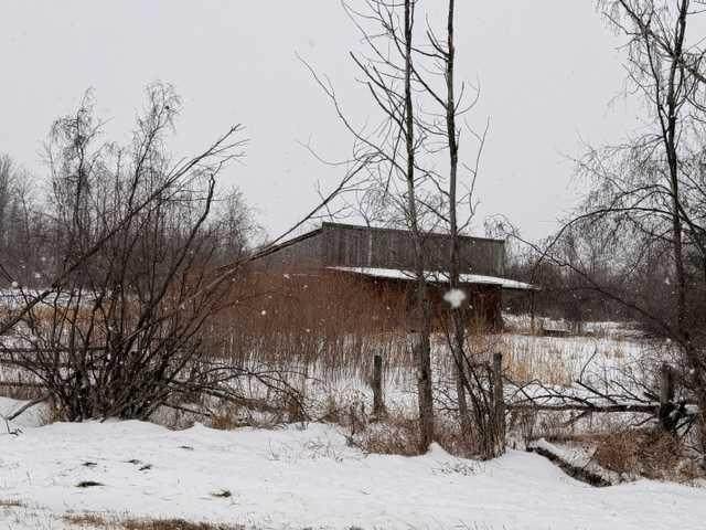 5325 48 Avenue - Photo 1