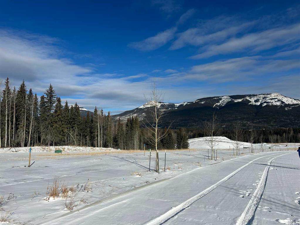 https://bt-photos.global.ssl.fastly.net/calgary/orig_boomver_1_A2289645-2.jpg