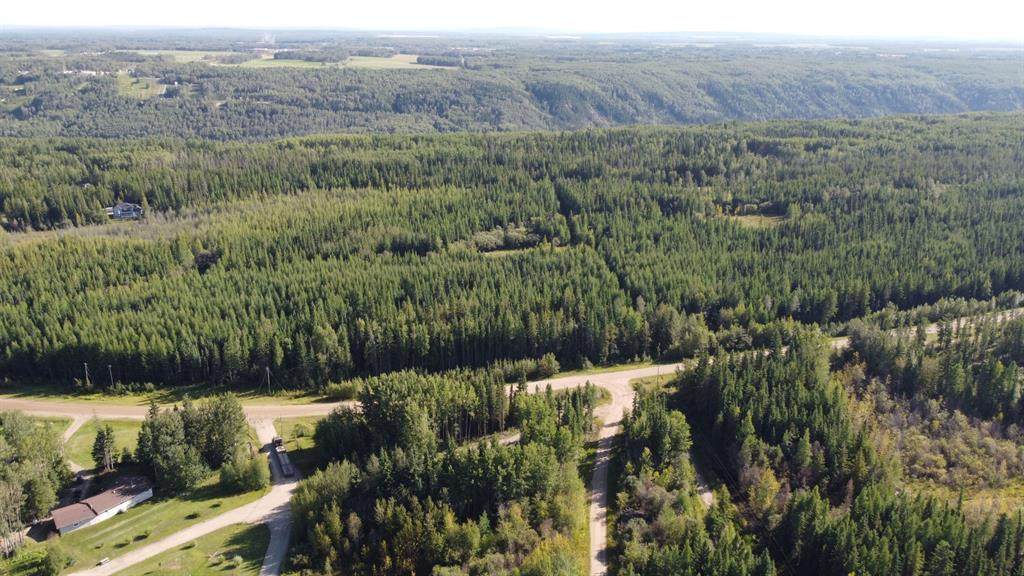  703A Township - Photo 1