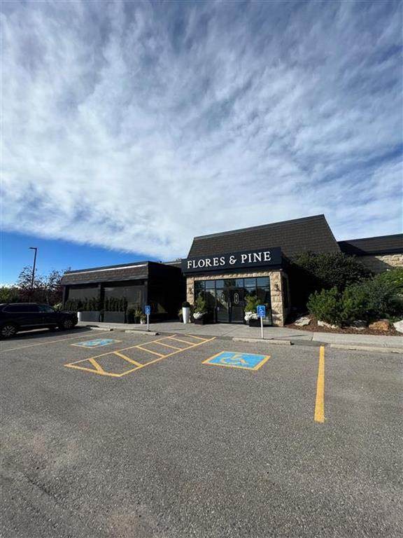 254028 Bearspaw Road - Photo 1