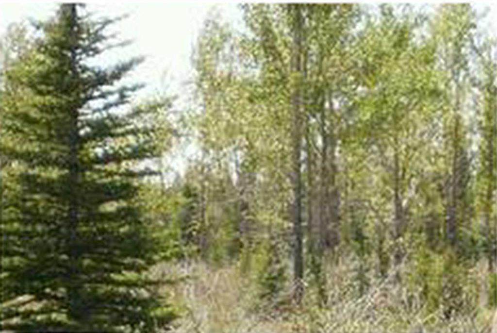 https://bt-photos.global.ssl.fastly.net/calgary/orig_boomver_1_A2290384-2.jpg