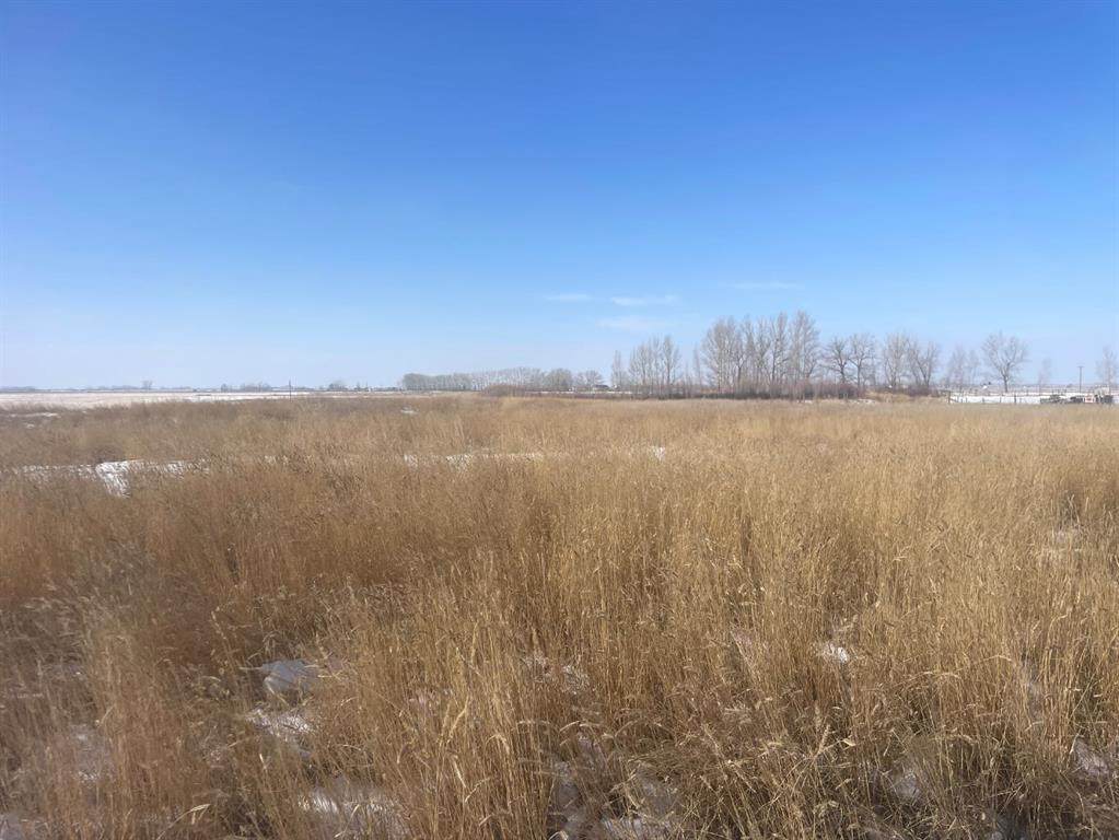 HWY 550 & RR155 Rr155 - Photo 1