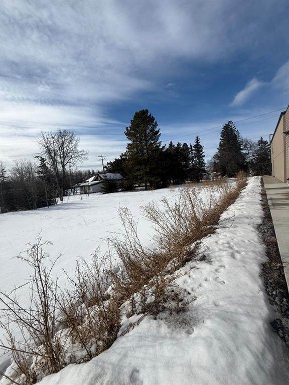 4609 52 Street - Photo 1