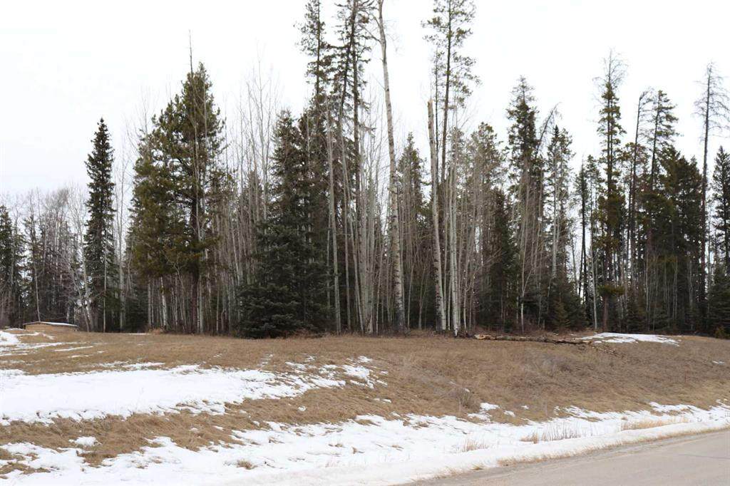 16511 Township Road 532A - Photo 1