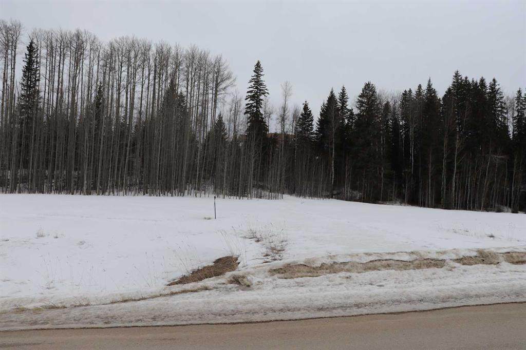16511 Township Road 532A - Photo 1