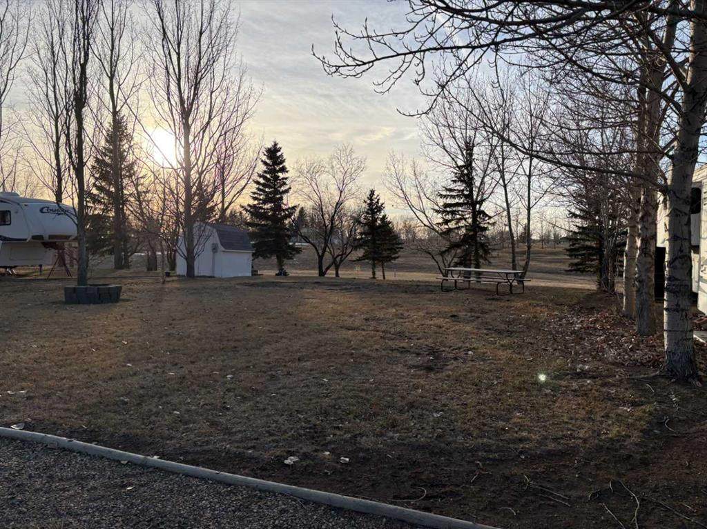 A2 Forty Mile Park - Photo 1