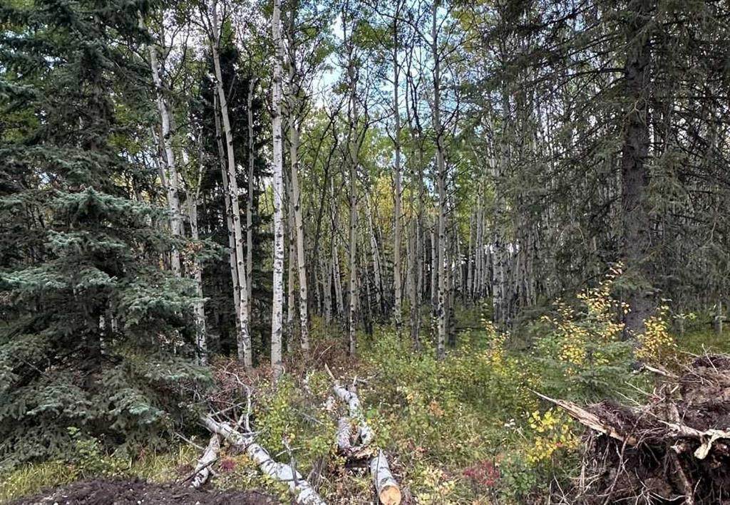 https://bt-photos.global.ssl.fastly.net/calgary/orig_boomver_1_A2294945-2.jpg