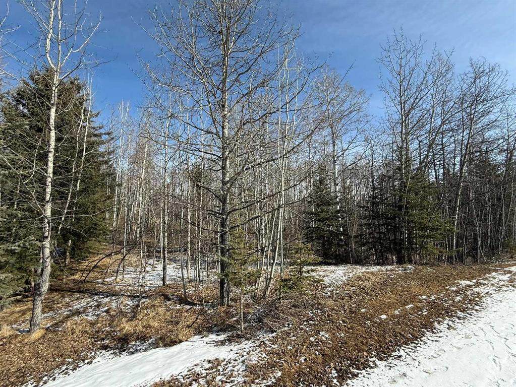 29066 Range Road 52 - Photo 1
