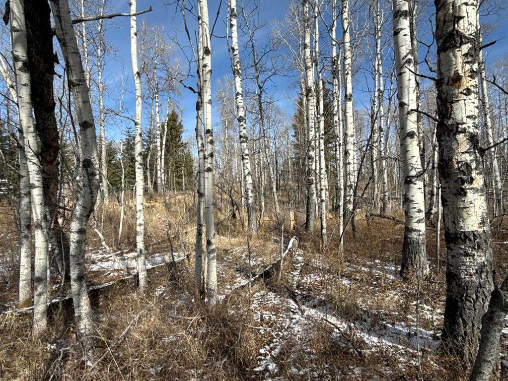 https://bt-photos.global.ssl.fastly.net/calgary/orig_boomver_1_A2295520-2.jpg