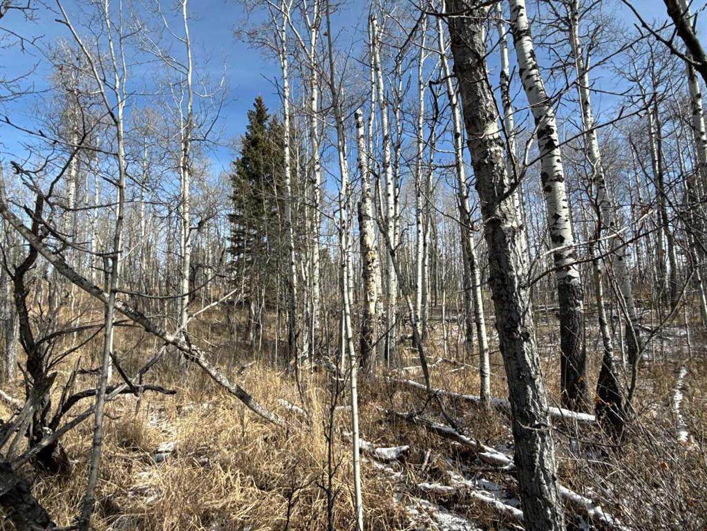 https://bt-photos.global.ssl.fastly.net/calgary/orig_boomver_1_A2295520-2.jpg