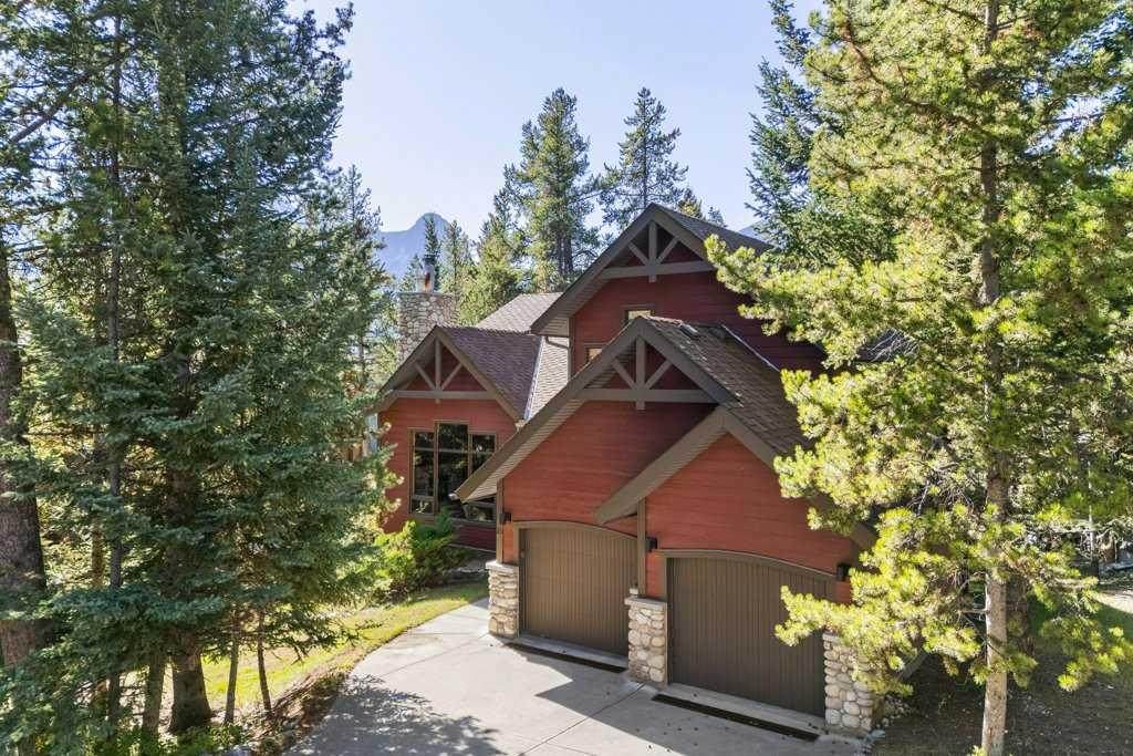 16 Blue Grouse Ridge - Photo 1