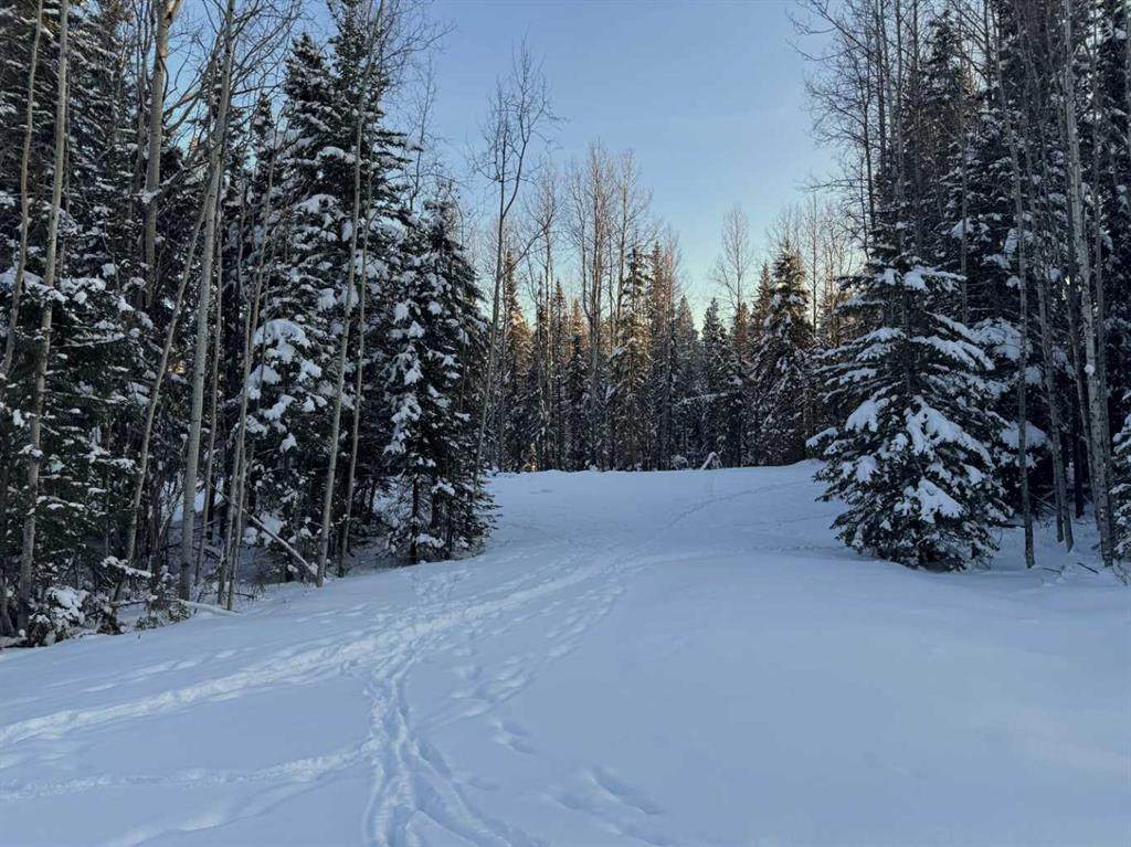 Lot 2 Range Road 180 - Photo 1