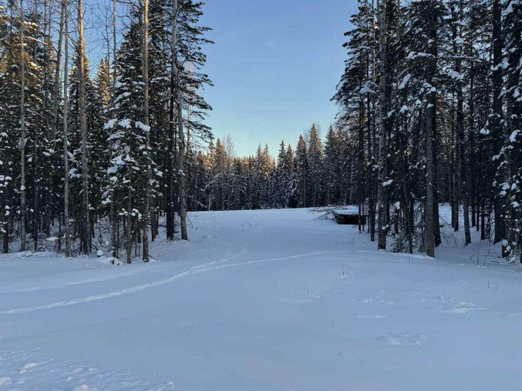 https://bt-photos.global.ssl.fastly.net/calgary/orig_boomver_1_A2296021-2.jpg