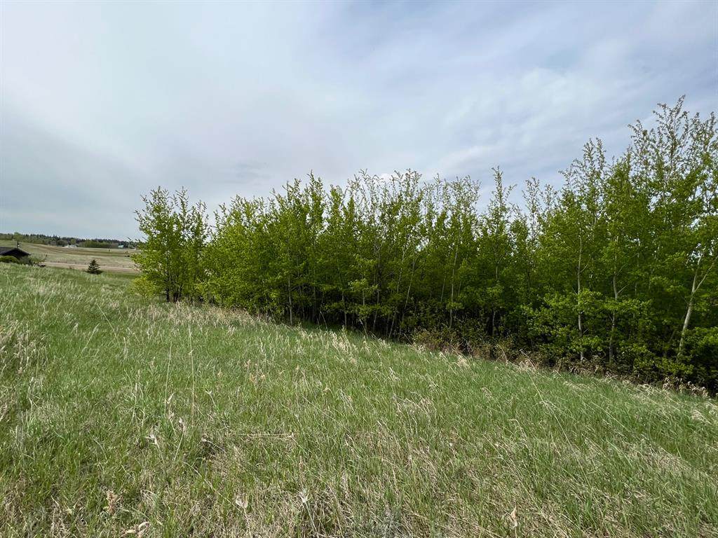 https://bt-photos.global.ssl.fastly.net/calgary/orig_boomver_1_A2296310-2.jpg