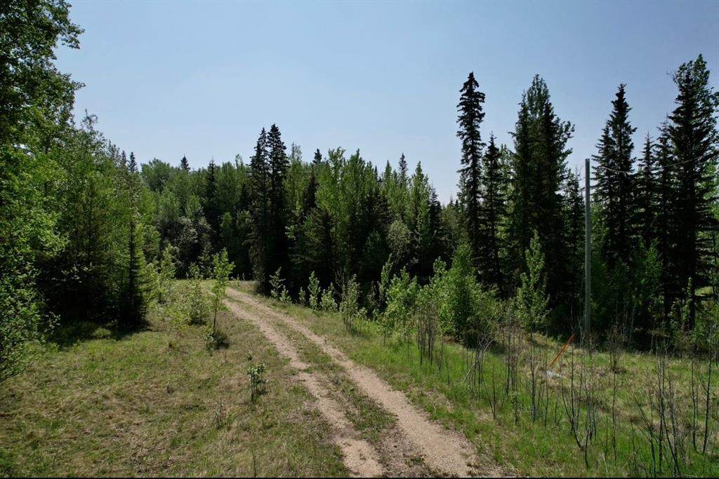 https://bt-photos.global.ssl.fastly.net/calgary/orig_boomver_1_A2297414-2.jpg