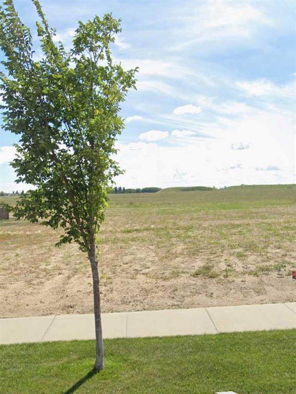 7002 38 Avenue - Photo 1