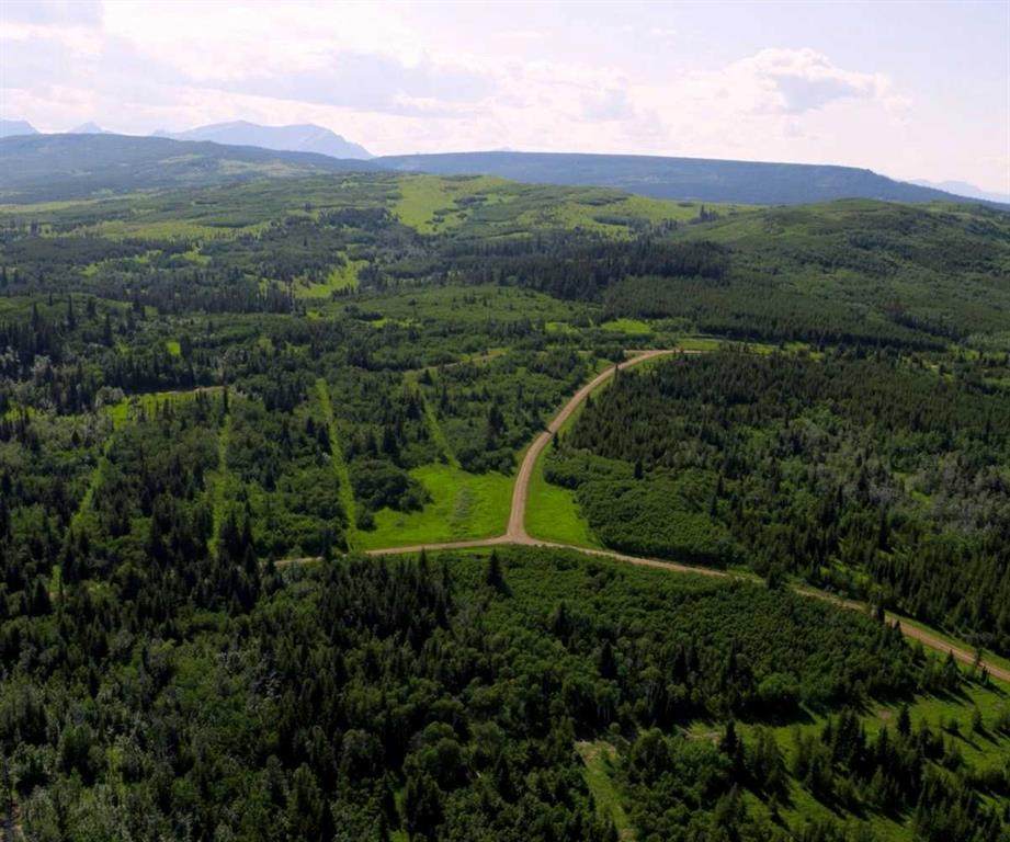 Lot 1 Heritage Ranch - Photo 1