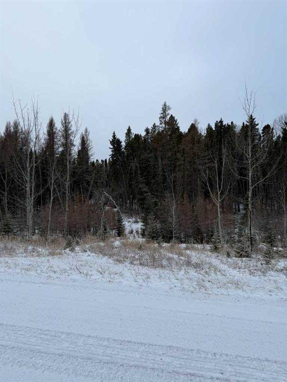 505 Clearwater Estates Crescent - Photo 1
