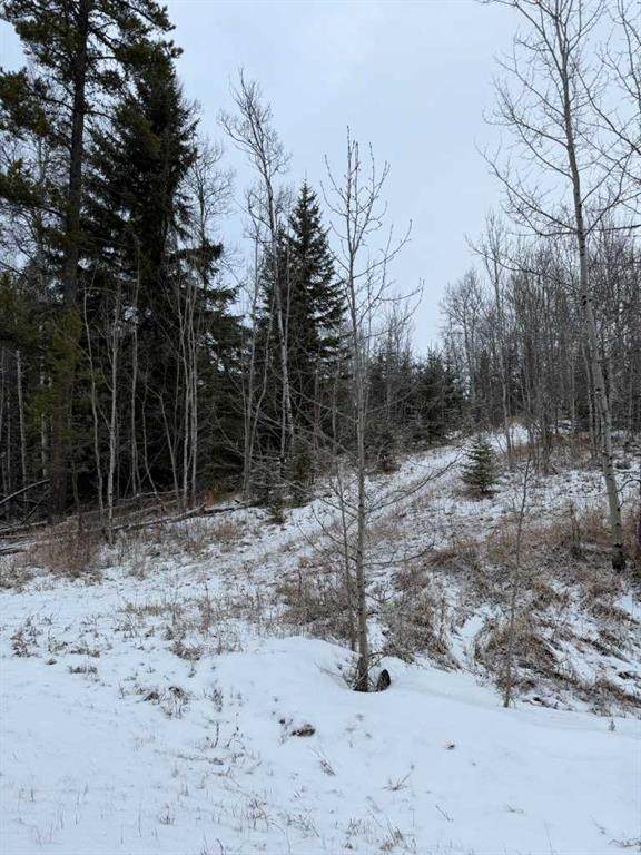 514 Clearwater Estates Crescent - Photo 1