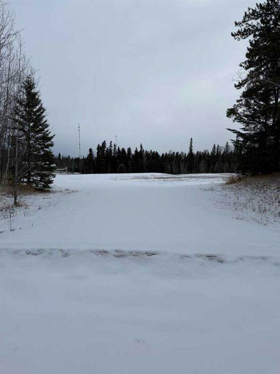 522 Clearwater Estates Crescent - Photo 1