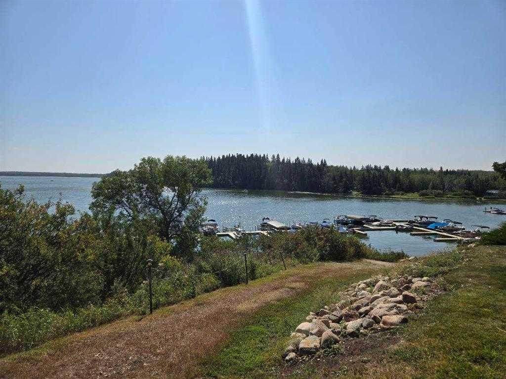 25054 South Pine Lake Road - Photo 1