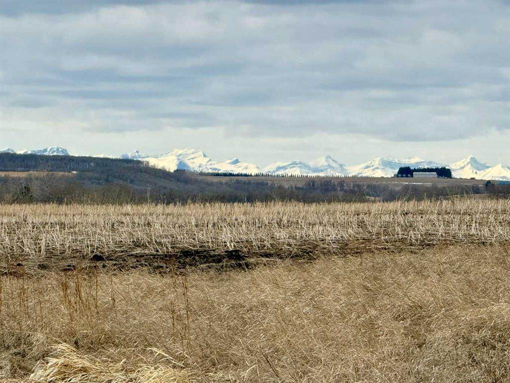 https://bt-photos.global.ssl.fastly.net/calgary/orig_boomver_1_A2300182-2.jpg