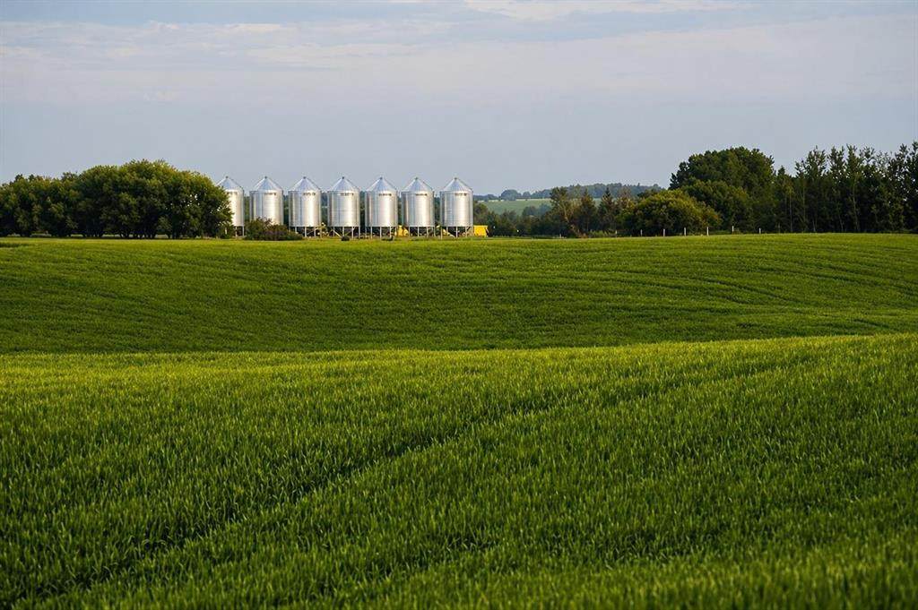 1,085 Acres - Photo 1