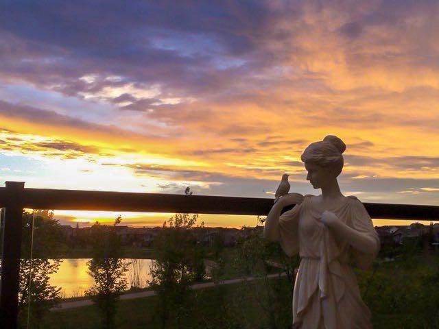 https://bt-photos.global.ssl.fastly.net/calgary/orig_boomver_1_A2325555-2.jpg