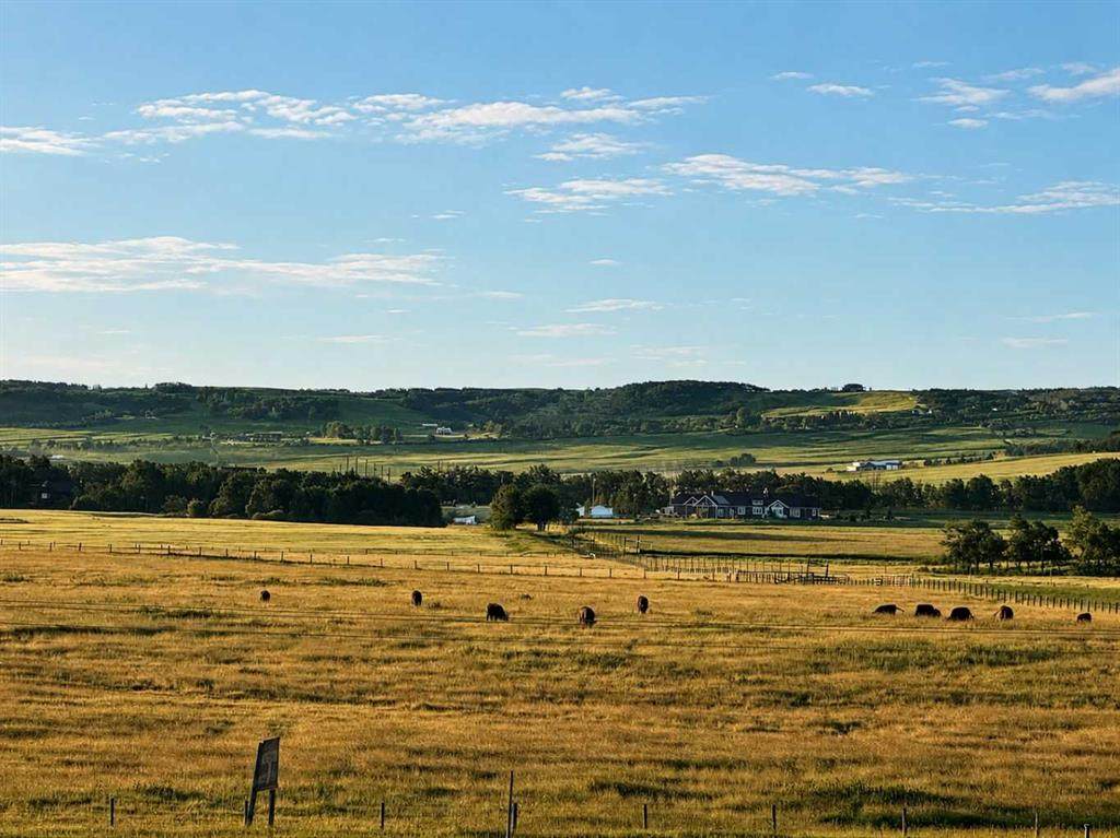 https://bt-photos.global.ssl.fastly.net/calgary/orig_boomver_1_A2328180-2.jpg