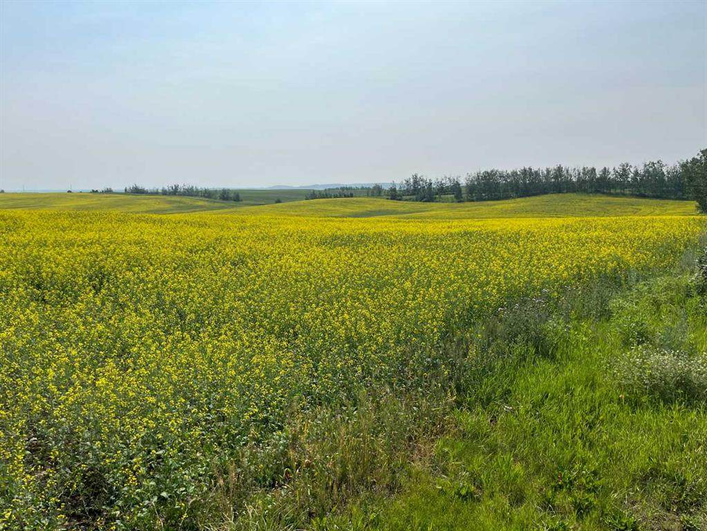 https://bt-photos.global.ssl.fastly.net/calgary/orig_boomver_1_A2332179-2.jpg
