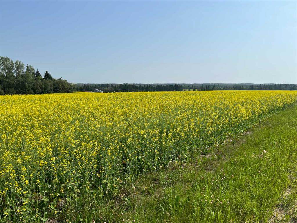https://bt-photos.global.ssl.fastly.net/calgary/orig_boomver_1_A2332302-2.jpg