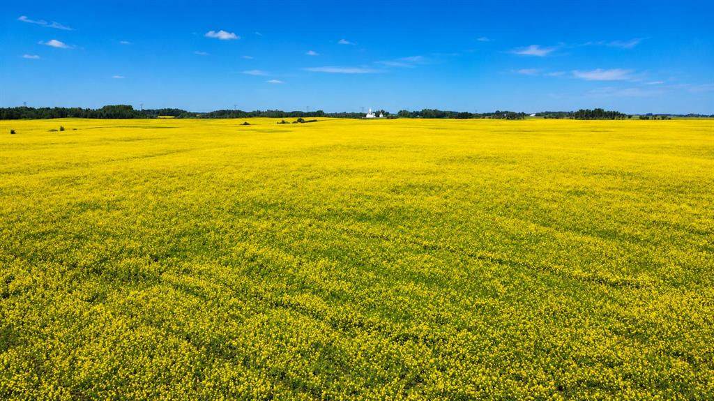  Mundare 160 Acres - Photo 1