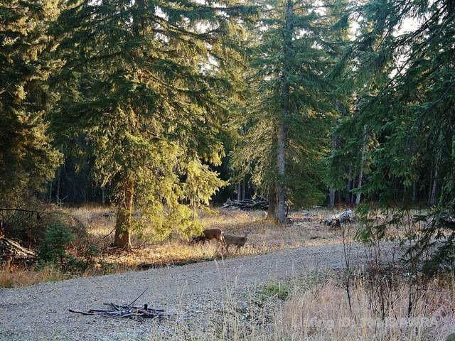 53018 Range Rd 175 - Photo 1