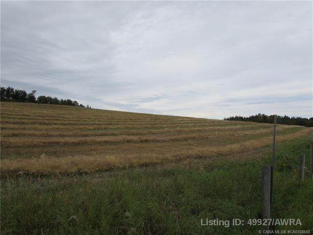 RR80 S Highway 43 - Photo 1