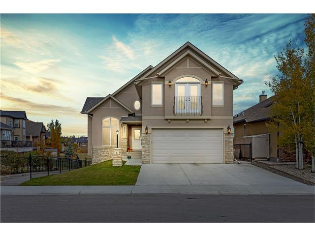 6 Cimarron Springs Way - Photo 1