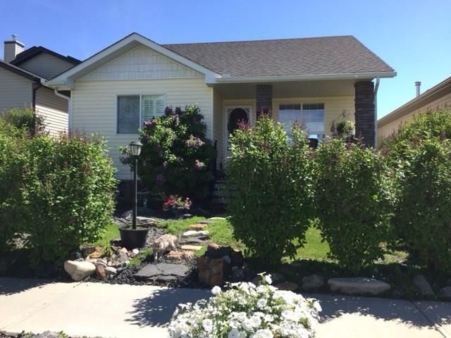 1844 High Country Drive - Photo 1