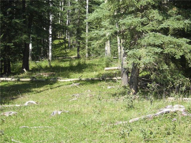 320 Township Road - Photo 1