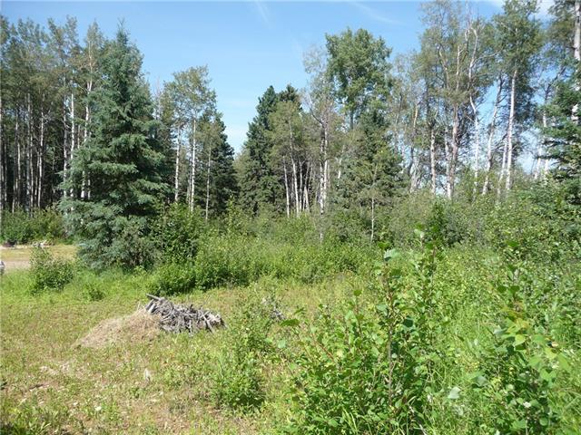 #3, Lot 1 Cranberry Drive - Photo 1