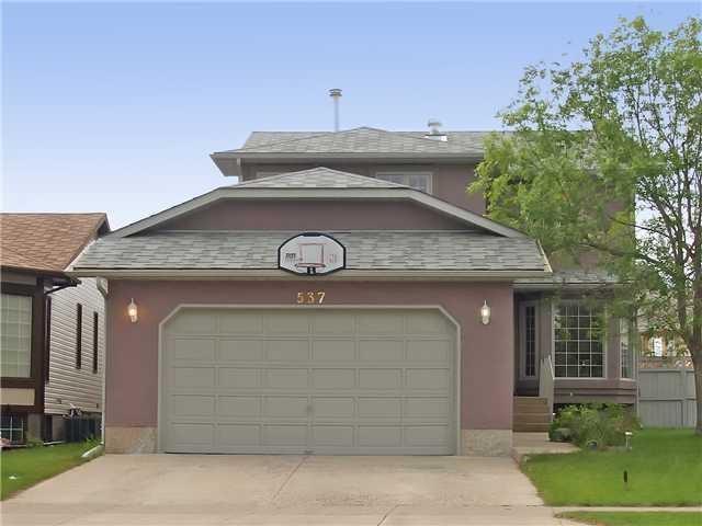 537 Woodbine Boulevard - Photo 1